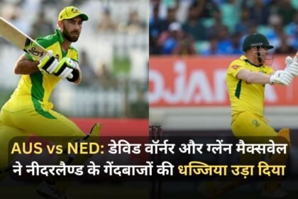 AUS vs NED David Warner and Glenn Maxwell