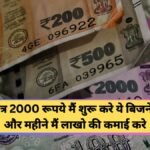 Business Ideas Under 2000 Rupees in Hindi