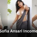 Sofia Ansari Income