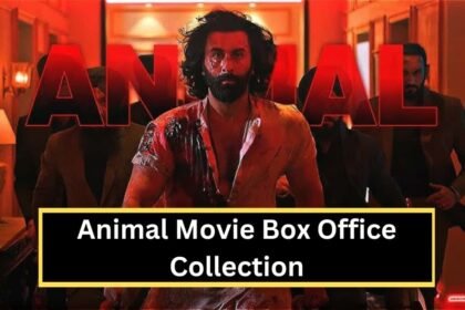 Animal Box Office Collection