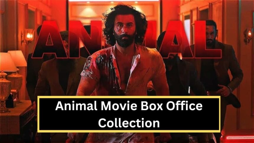 Animal Box Office Collection