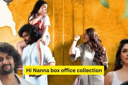 Hi Nanna box office collection