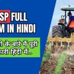 MSP Full Form in Hindi