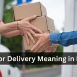 Out for Delivery Meaning in Hindi