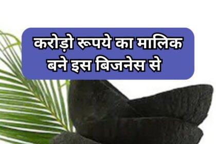 superhit-business-idea-to-earn-money-from-coconut-shell-charcoal