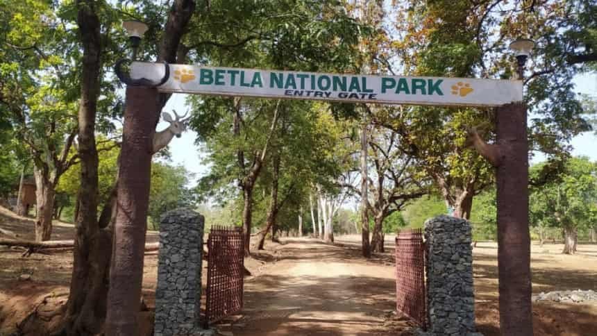 Betla National Park