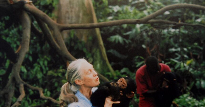 11 best nature documentary at Netflix, Hulu, and more (2025)