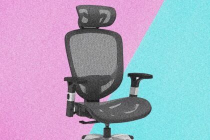 Staples Dexley Ergonomic Mesh Chair Review: Best Budget Chair