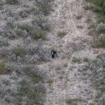 How One Texas County Has Profited Off of Migrant Deportations
