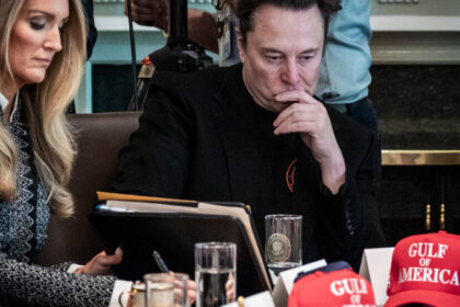 Musk Is Less Confident About DOGE Goals, 100 Days Into Trump Presidency