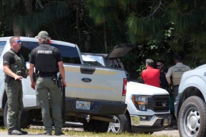 Florida Wildlife Officers Kill 3 Black Bears After Deadly Attack