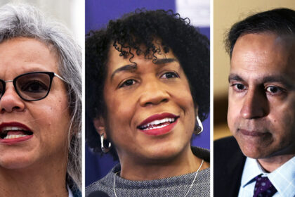 In Illinois Senate Race, Old Grudges and a Test of Pritzker’s Power