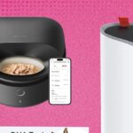 The 21 Best Early Amazon Pet Day Deals (2025)