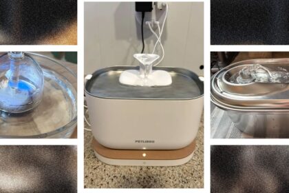 13 Best Cat Water Fountains, WIRED Tested and Reviewed (2025)