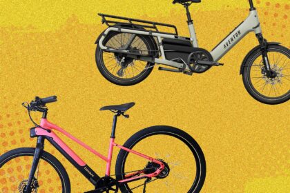 17 Best Electric Bikes (2025): Hauling, Commuting, Mountain Biking