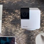 10 Best Pet Cameras (2025), Tested and Reviewed
