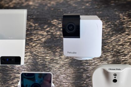 10 Best Pet Cameras (2025), Tested and Reviewed