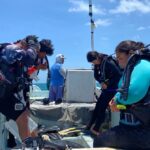 How Mexico’s Fishing Refuges Are Fighting Back Against Poaching