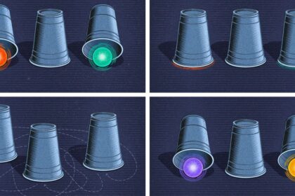 The Quest to Prove the Existence of a New Type of Quantum Particle
