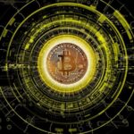 Crypto has become the ultimate swamp asset