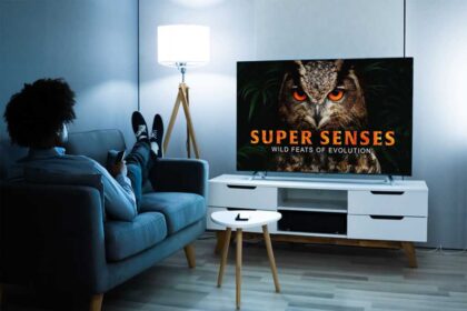 Bored with TV? Try feeding your brain with a lifetime supply of documentaries