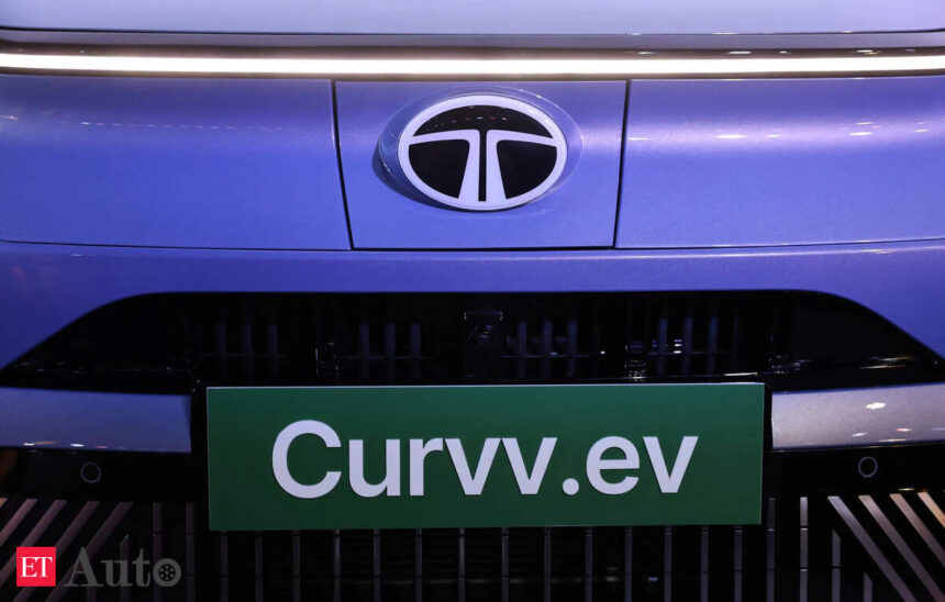 Tata Motors’ EV biz one of the few to report positive Ebitda margin, TK247