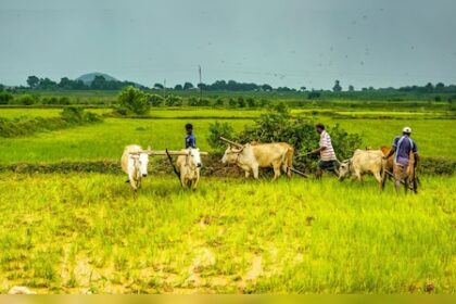 PM-KISAN 20th instalment: When can beneficiaries expect it, how to apply and more