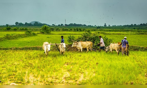PM-KISAN 20th instalment: When can beneficiaries expect it, how to apply and more