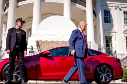 Elon Musk's Feud With President Trump Wipes $152 Billion Off Tesla’s Market Cap