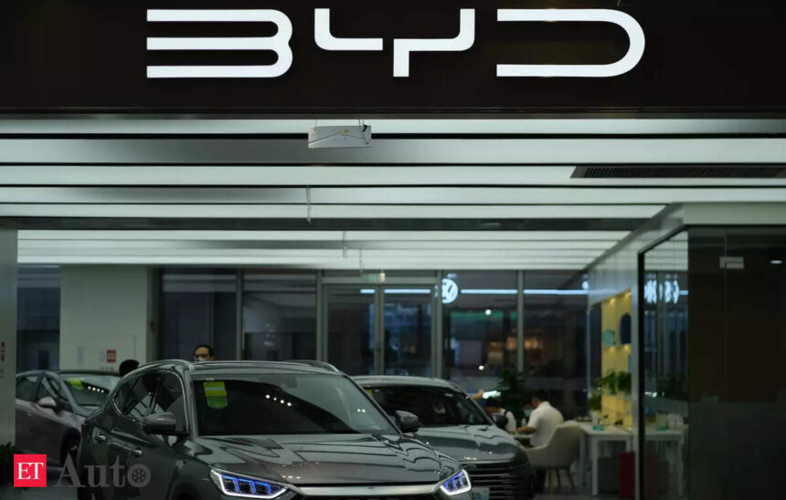 China's BYD to nearly triple South Africa dealers' network by next year, TK247