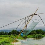 As monsoon arrives early, here are three stocks to add to your watchlist