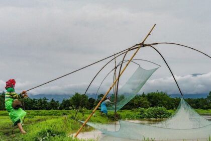 As monsoon arrives early, here are three stocks to add to your watchlist