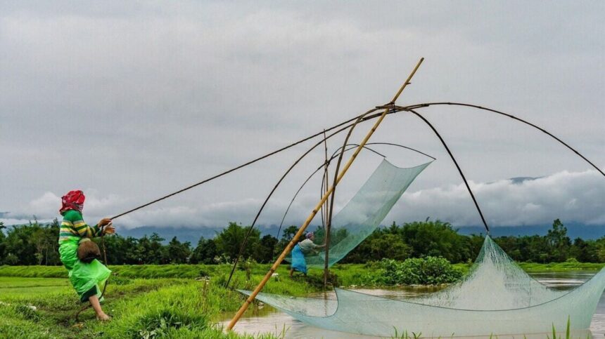 As monsoon arrives early, here are three stocks to add to your watchlist