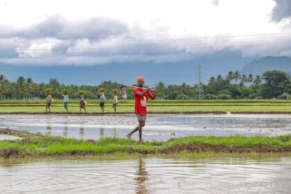 PM-KISAN 20th instalment likely in June: Key details farmers must know