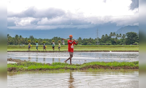 PM-KISAN 20th instalment likely in June: Key details farmers must know