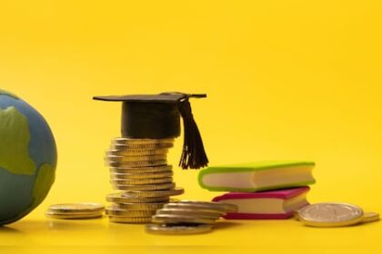 Work visa rejected after studies? Here's how you can still manage education loan repayment